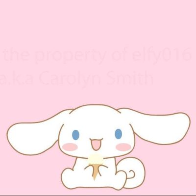 Part of the Kawaii Culture - Cinnamoroll Store